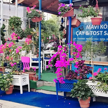 Mavi Koesk * Bursa